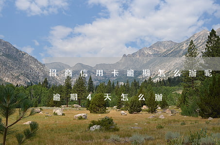 招商信用卡逾期怎么辦呢(招商信用卡不小心逾期4天怎么辦)
