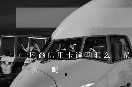 招商信用卡逾期怎么辦呢(招商信用卡逾期怎么辦呢)