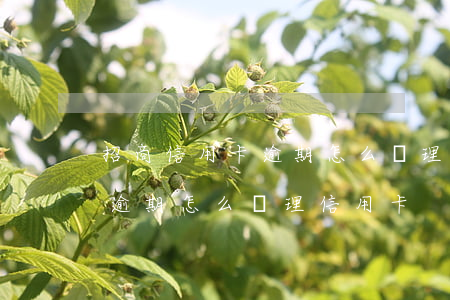 招商信用卡逾期怎么辦理信用卡(招商信用卡逾期怎么辦理信用卡)