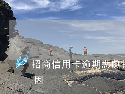 招商信用卡逾期悲劇(招商信用卡逾期悲劇原因)
