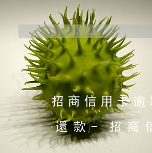 招商信用卡逾期成呆賬怎么協(xié)商還款-招商信用卡逾期成呆賬怎么協(xié)商還款呢