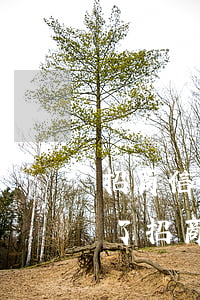 招商信用卡逾期手機(jī)停機(jī)了(招商信用卡逾期手機(jī)停機(jī)了)