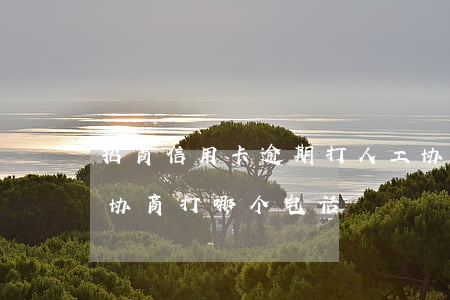 招商信用卡逾期打人工协商打不通(招商逾期协商打哪个电话)