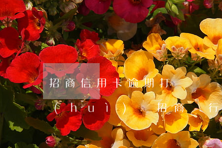 招商信用卡逾期打廣東銀監(jiān)會(huì)嗎(招商銀行怕銀監(jiān)會(huì))