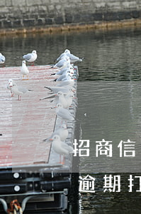 招商信用卡逾期打聯(lián)系人(招商逾期打電話上門)