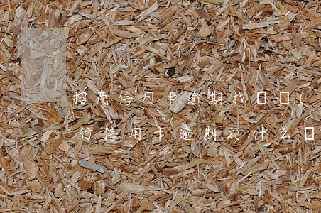 招商信用卡逾期找誰協(xié)商(招商銀行信用卡逾期打什么電話去協(xié)商)