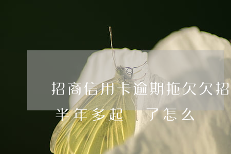 招商信用卡逾期拖欠(欠招商信用卡5000半年多起訴了怎么辦)