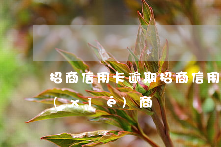 招商信用卡 逾期（招商信用卡逾期兩萬怎么協(xié)商）