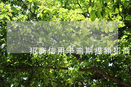招商信用卡逾期提額(招商信用卡 逾期)