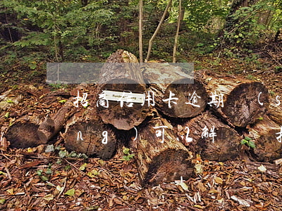 招商信用卡逾期時(shí)間長(zhǎng)可以解凍嗎(招商信用卡 逾期)
