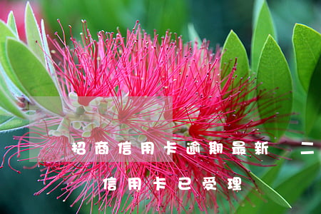 招商信用卡逾期最新辦二類卡(招商銀行您申請信用卡已受理)