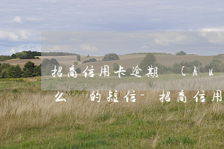 招商信用卡逾期會(huì)發(fā)什么樣的短信-招商信用卡逾期會(huì)發(fā)什么樣的短信通知