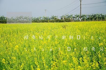 招商信用卡逾期會(huì)給親戚打電話(huà)嗎-招商信用卡逾期會(huì)給親戚打電話(huà)嗎知乎