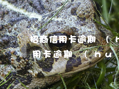招商信用卡逾期會(huì)通知嗎(招商信用卡逾期會(huì)通知嗎)