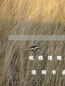 招商信用卡逾期會(huì)降額度嗎(招商信用卡逾期會(huì)降額度嗎)