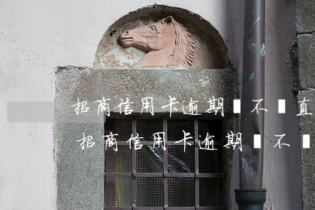 招商信用卡逾期會不會直接從儲蓄卡扣款-招商信用卡逾期會不會直接從儲蓄卡扣款了
