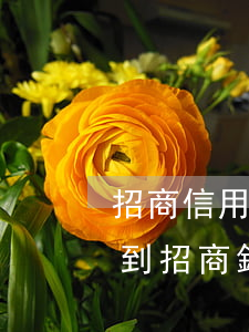 招商信用卡逾期會催收(好幾年了今天突然收到招商銀行的催收)