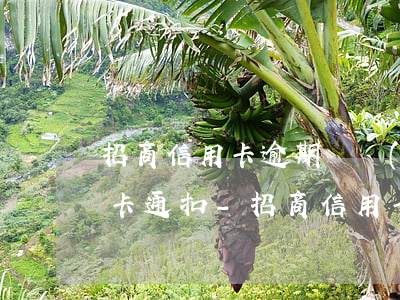 招商信用卡逾期會強(qiáng)制從一卡通扣-招商信用卡逾期會強(qiáng)制從一卡通扣款嗎