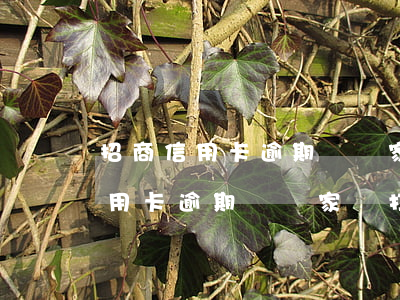 招商信用卡逾期會給家屬打電話嗎-招商信用卡逾期會給家屬打電話嗎知乎