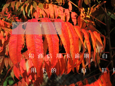 招商信用卡逾期會自動扣銀卡(欠招商銀行信用卡的錢會自動扣卡里的錢)
