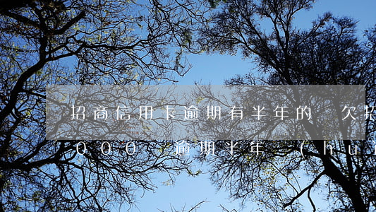 招商信用卡逾期有半年的嗎(欠招商信用卡3000塊逾期半年會(huì)上門嗎)