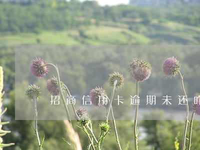 招商信用卡逾期未还咋办