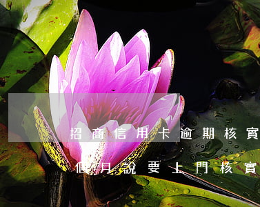 招商信用卡逾期核實資料(招商信用卡逾期4個月說要上門核實)