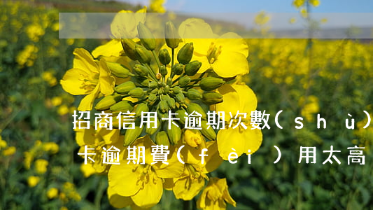 招商信用卡逾期次數(shù)多(招商信用卡逾期費(fèi)用太高)