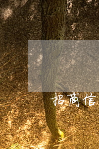 招商信用卡逾期正確做法