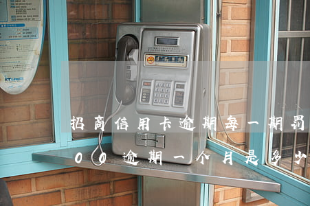 招商信用卡逾期每一期罚金(招行信用卡3000逾期一个月是多少罚息)