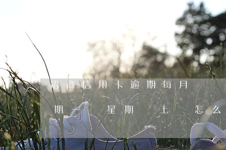 招商信用卡逾期每月還點(招商銀行信用卡逾期一個星期還上會怎么樣)