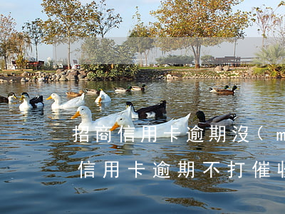 招商信用卡逾期沒(méi)有催收(為什么信用卡逾期不打催收電話了)