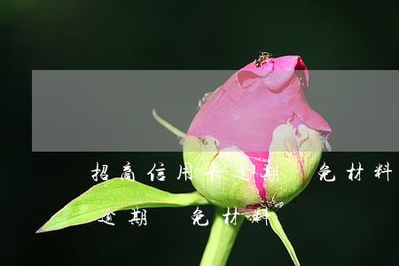 招商信用卡逾期減免材料怎么寫（招商信用卡逾期減免材料）