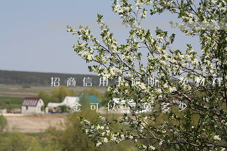 招商信用卡逾期減免材料(招商信用卡逾期滯納金可以減免多少?)