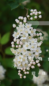 招商信用卡逾期為什么不協(xié)商-招商逾期不能協(xié)商