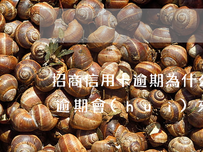 招商信用卡逾期為什么要去戶籍地(招商銀行逾期會(huì)來戶籍所在地實(shí)地調(diào)查)