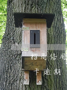 招商信用卡逾期無(wú)法償還(招商信用卡 逾期)