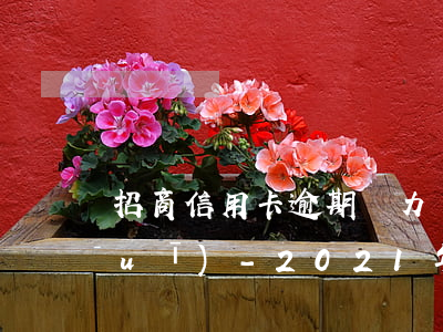 招商信用卡逾期無力償還2020新規(guī)-2021年招商信用卡逾期新政策