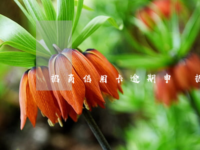 招商信用卡逾期申訴 招商信用卡逾期申訴電話