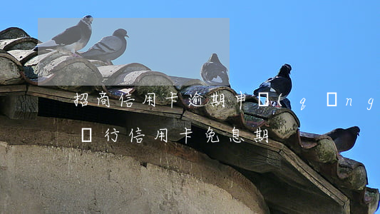 招商信用卡逾期申請(qǐng)免息(招商銀行信用卡免息期)