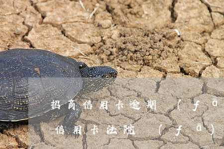 招商信用卡逾期發(fā)來傳票(招商銀行信用卡法院發(fā)傳票要起訴我怎么辦)