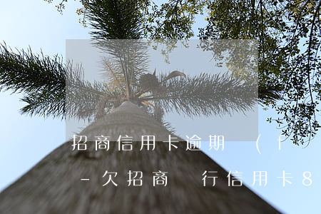 招商信用卡逾期發(fā)信息說要起訴我-欠招商銀行信用卡8000發(fā)短信說要起訴我