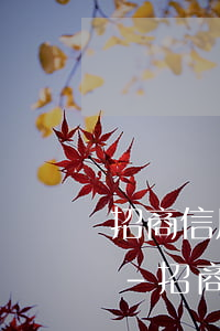 招商信用卡逾期發(fā)短信說寄律師函-招商信用卡逾期發(fā)短信說寄律師函是真的嗎