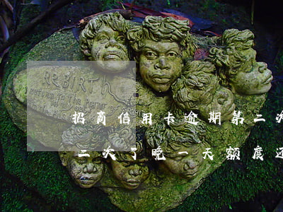 招商信用卡逾期第二次了(招商信用卡逾期第二次了,晚一天额度还能借出来么?)