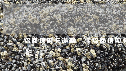 招商信用卡逾期簽字(招商信用卡逾期簽字有影響嗎)