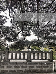 招商信用卡逾期給我發(fā)函件(招聯(lián)金融發(fā)短信說我信用卡逾期)