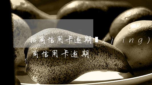 招商信用卡逾期經(jīng)偵處立案(招商信用卡 逾期)