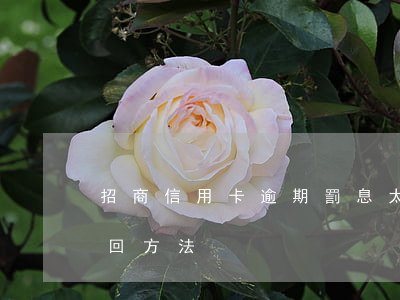 招商信用卡逾期罰息太高(招商信用卡罰息追回方法)
