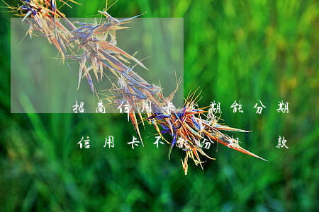 招商信用卡逾期能分期還嗎(為什么招商銀行信用卡不能分期還款)