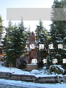招商信用卡逾期能协商减免吗(为什么招商信用卡逾期不肯协商减免违约金)